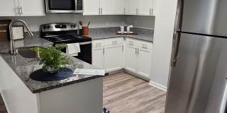 Timber Woods Gallery 1