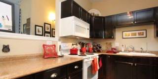 Updated 3 Bed Home with Vaulted Ceilings, Solar Panels & Large Corner Lot! Gallery 8