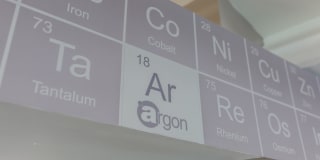 The Argon The Argon Gallery 4