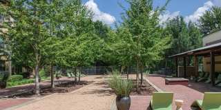 DeSoto Town Center Gallery 30