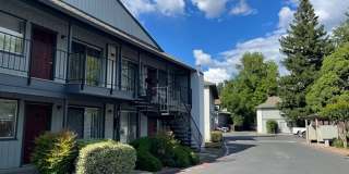 Summer Village Apartments Gallery 7