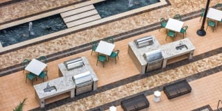 Palmetto Promenade Gallery 32