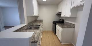 355 Gallery 1