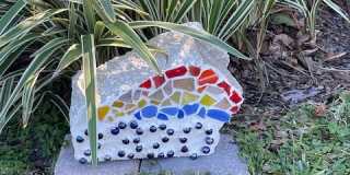 2320 Vivada Street Gallery 4