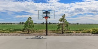 InterPointe Gallery 24