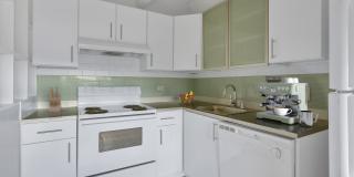 825 Dahlia Gallery 4