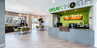 Urban North Gallery 36