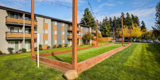 Knol Apartments Gallery 19