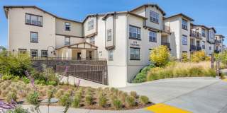 Arrive Los Carneros II Gallery 55