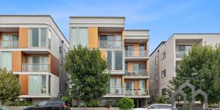 Hollywood 12 Gallery 40