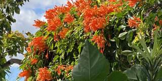 1540 Southwest 74th Court Gallery 12