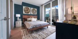 Novo Las Olas Gallery 15