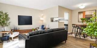 The Forest Gallery 3