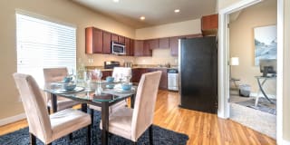 Olympus at The District Gallery 24