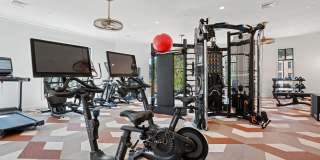 NOVEL Davidson Gallery 19