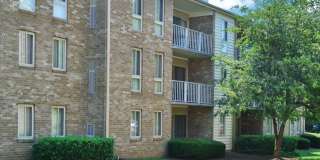 The Apartments at Elmwood Terrace Gallery 17