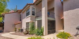 6441 N Tierra De Las Catalinas Gallery 48