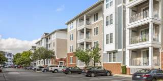 River House Apartments Gallery 29