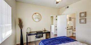 Desert Ridge Gallery 16