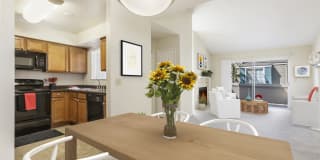 Canyon Creek Gallery 8
