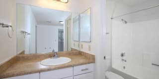 Windridge Gallery 14