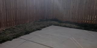 5708 Kemper Street - 1 Gallery 17