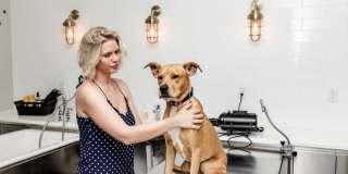 The Registry on the Park Gallery 76