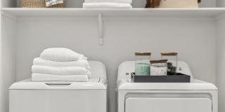 Amavida Marana Gallery 21