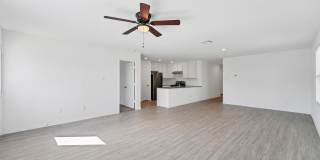 332 Elephants Ear Gallery 4