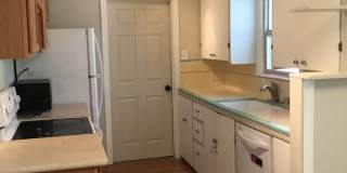 4 bedroom home close to UNR Gallery 5