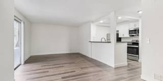 339 S. Ardmore Gallery 22