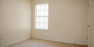 South Austin Living with Room to Spread Out Gallery 12