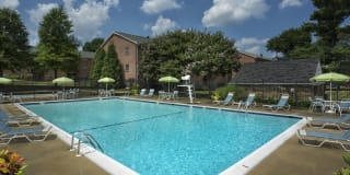 Dunhill North Apartments Gallery 16