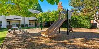 Cascade View Gallery 13