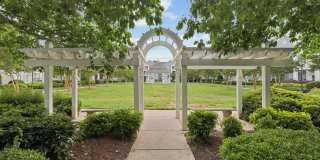Banyan Grove Gallery 16