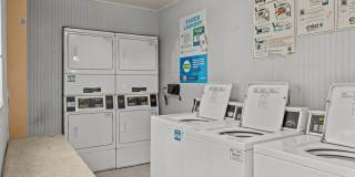 Oakwood Gallery 35