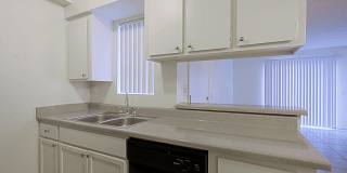 Paloma Village Gallery 3