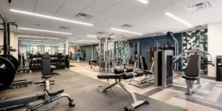 The Emerson Gallery 20