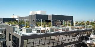 Ovelo Hollywood Gallery 31