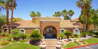 Solevita Gallery 1