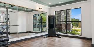 Ascend at Carlton Gallery 12