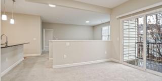 5137 Foxtail Pine Street Gallery 14