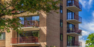 Cavalier Club Gallery 14