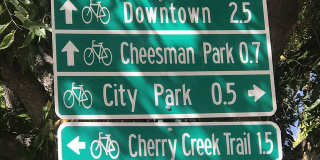 1311 Cook Gallery 38