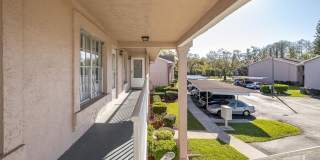 Beautifully Updated Condo Gallery 34