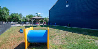 Willow Springs Gallery 44