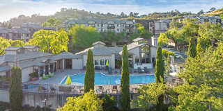 Larkspur Courts Gallery 22