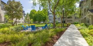 The Presidio Apartments Gallery 51