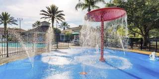 8103 COCONUT PALM Way Gallery 29
