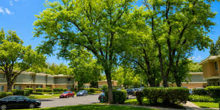 Step into a beautifully refreshed 3-bedroom, 1.5-bath condo that blends comfort, style, and unbeatable convenience. Gallery 17